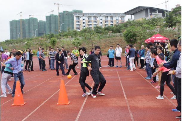 我院职工参加2015年水利厅秋季运动会